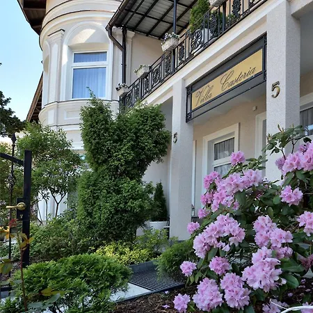 Casteria مينززدرويه